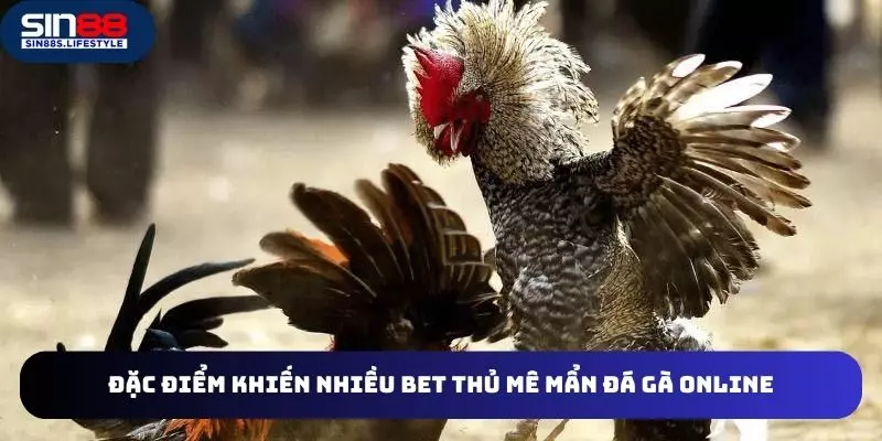 Lợi ích bet thủ nhận được khi chơi đá gà online